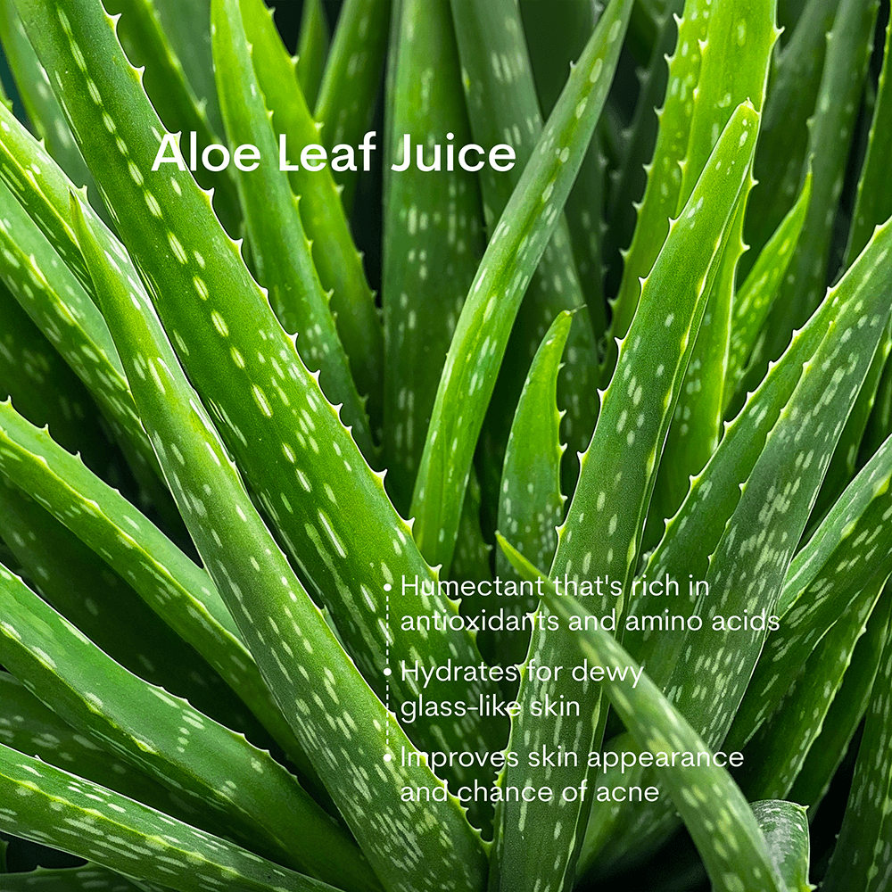 Clean & Hydrate Face Duo