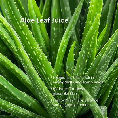 Clean & Hydrate Face Duo